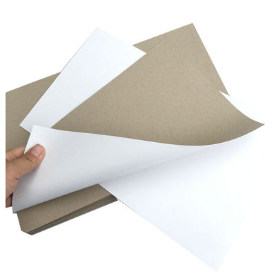 일면 화이트 듀플렉스 종이판 200Gsm 230Gsm 250Gsm 300Gsm 350Gsm 400Gsm 450Gsm