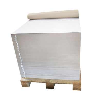 중국 종이 공급자 170g 180g 210g 230g 250g 300gm 코끼리판 FBB C1S 흰색 고리판