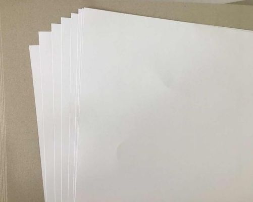 65g 75g 70g 채용 종이 80g 나무 없는 종이 60g 오프셋 종이 70*100cm