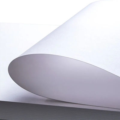 80 Gsm C1s 광택 예술 종이 덤보 롤 높은 흰색 크기 사용자 정의