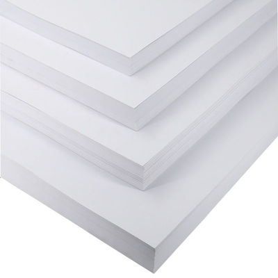 고품질 FBB 닌고 FBB C1s 코끼리판 600mFBB170-350gm