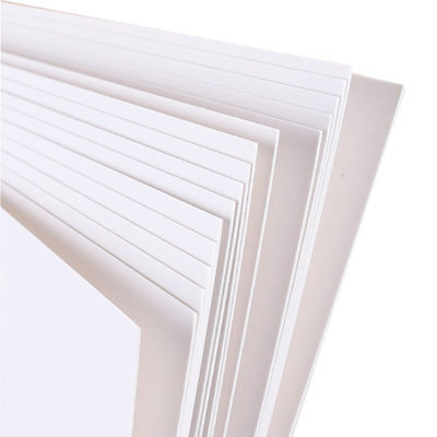 C1s fbb 닝보 접는 상자 판 코끼리 판 판 종이 코어170-350gsm