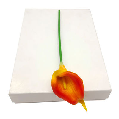 170gsm-400Gsm 흰색 카드보드 종이 장 / 롤 이중 면 코팅