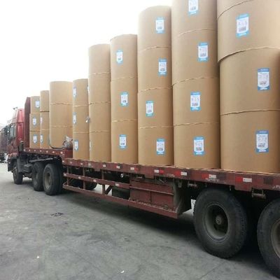 친환경 코팅 맞춤 인쇄 Kraft 종이 CKB 200gsm-255gsm 롤
